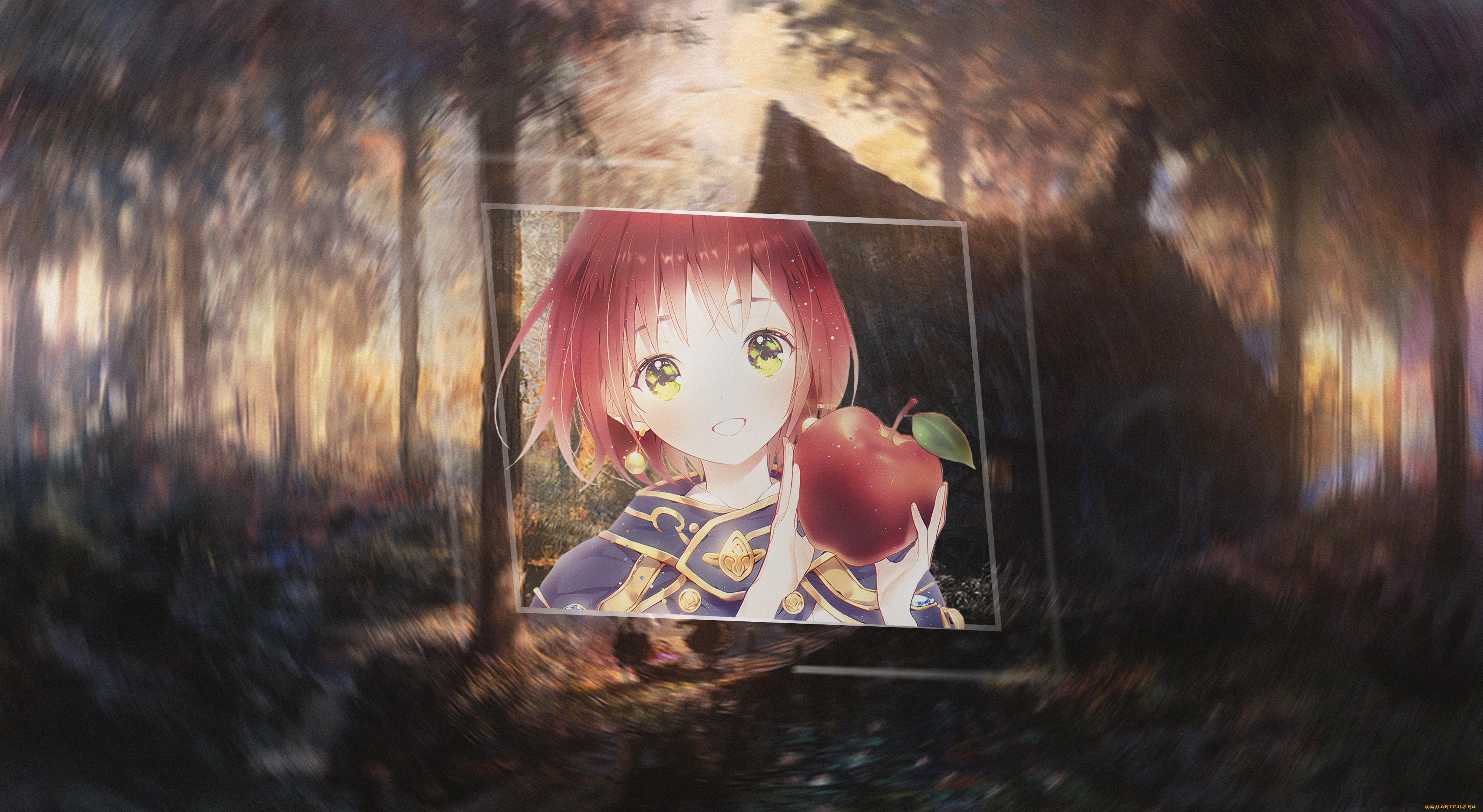 , mahou tsukai no yome, , 